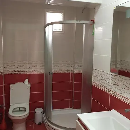 Serin Konak Apartman Erikli