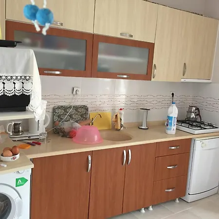 Serin Konak Apartman Erikli